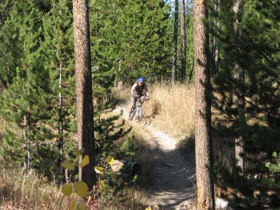 Things to do in Idaho Falls - ride the Kelly Canyon mountain bike trail