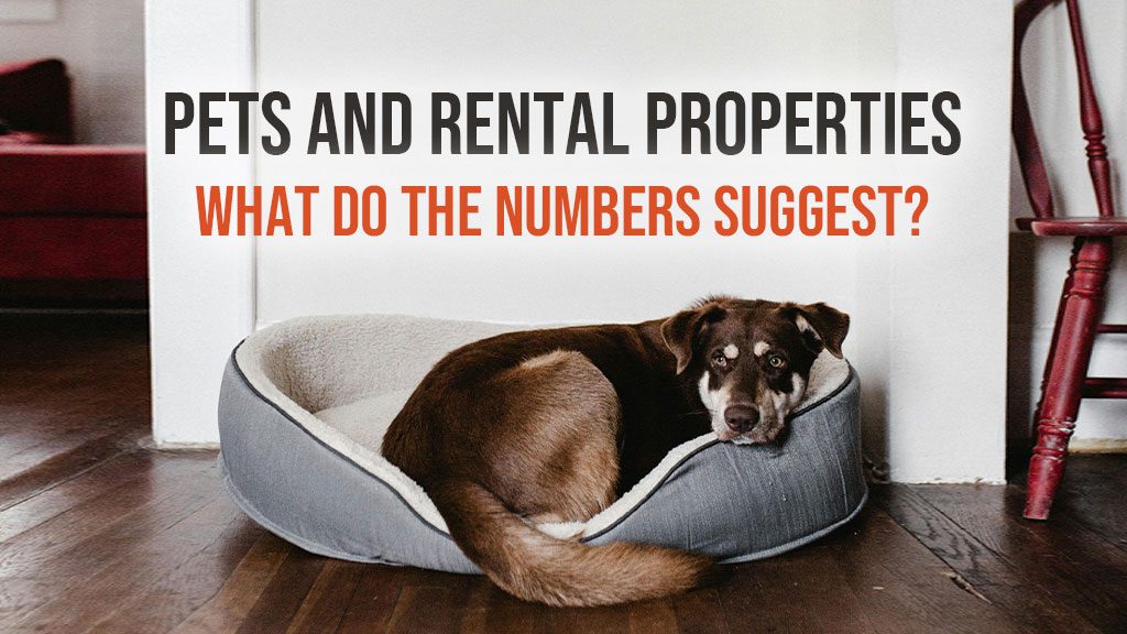 Pets and Rental Properties: What Do the Numbers Suggest?